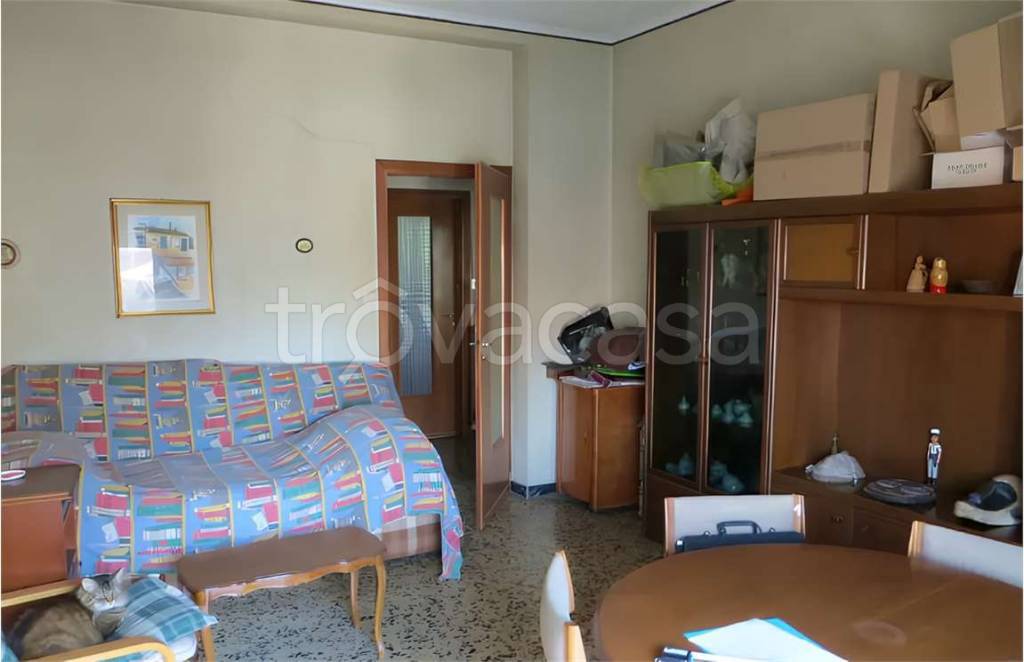 immagine annuncio 3 di 7
