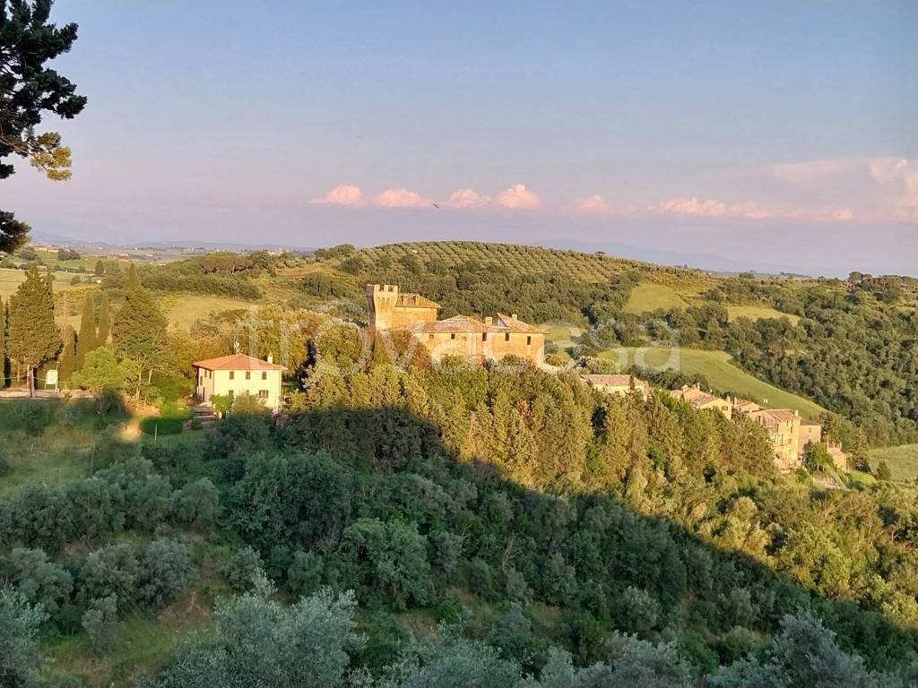 immagine annuncio 3 di 9