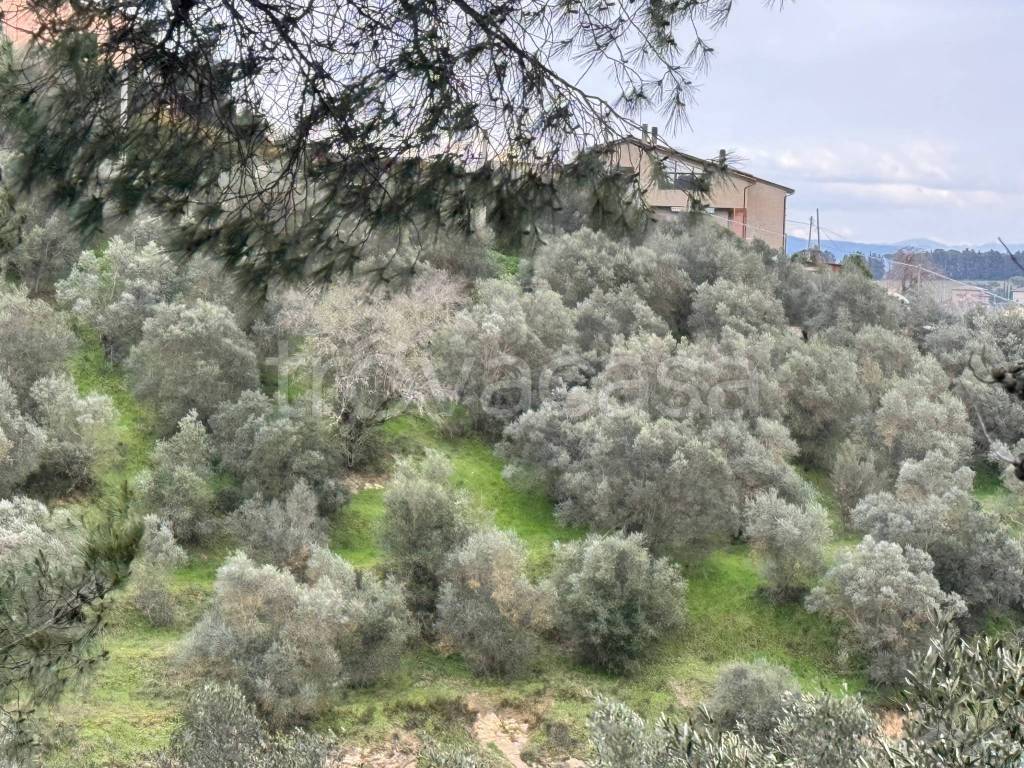 immagine annuncio 5 di 9