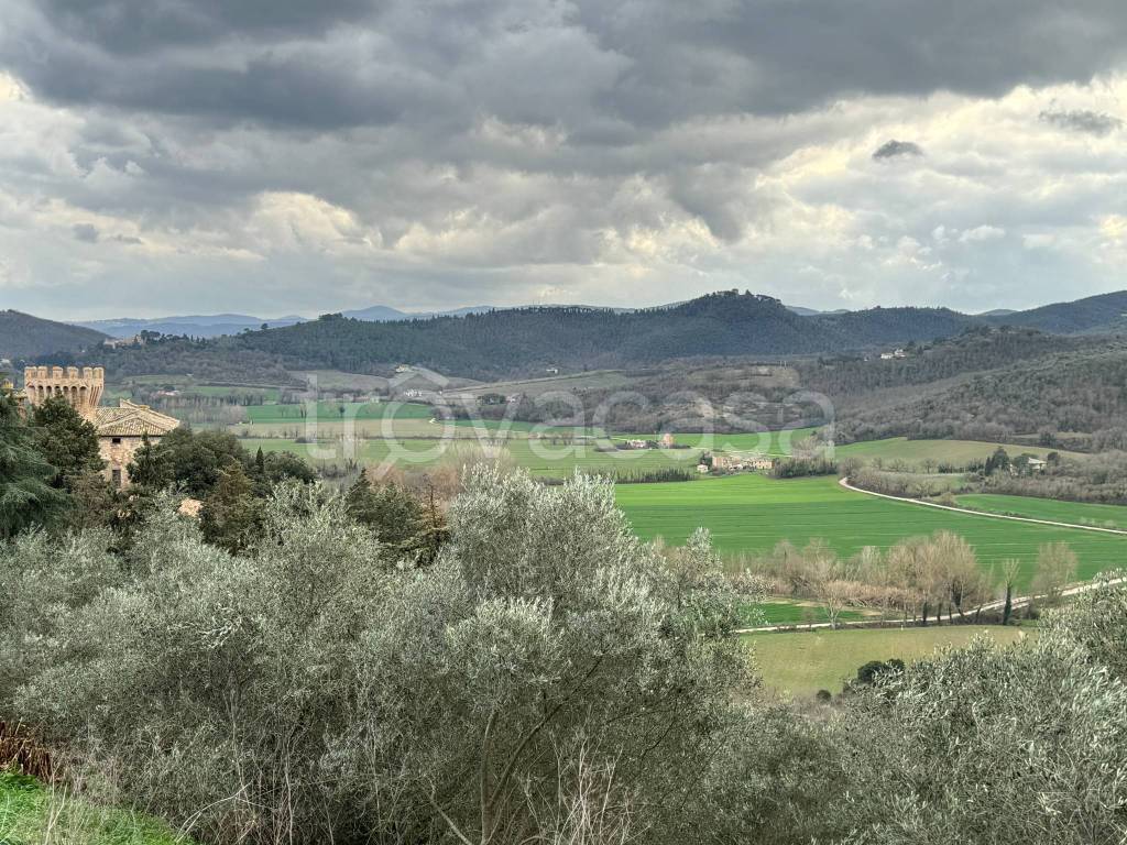 immagine annuncio 8 di 9