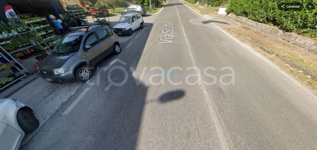 immagine annuncio 5 di 11