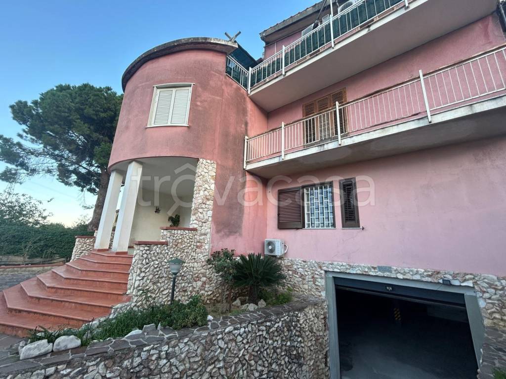 immagine annuncio 7 di 13