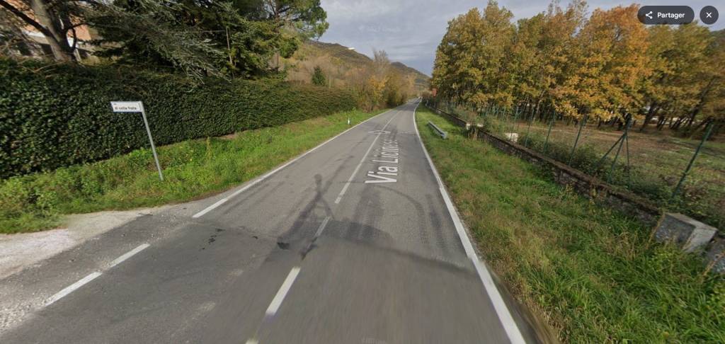 immagine annuncio 10 di 14