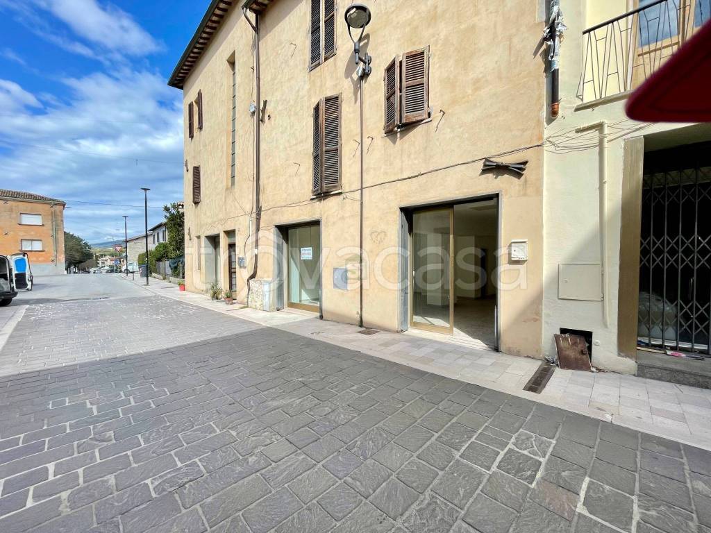 immagine annuncio 4 di 6