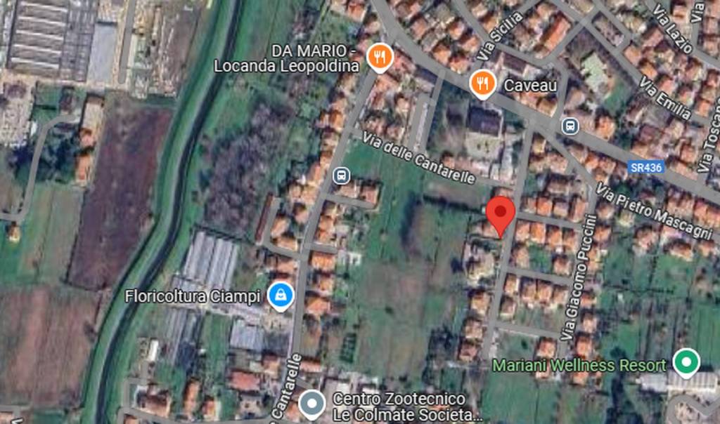 immagine annuncio 3 di 10