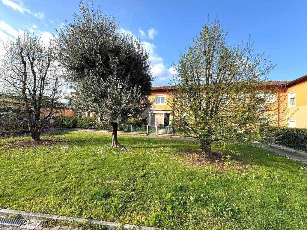 immagine annuncio 9 di 11
