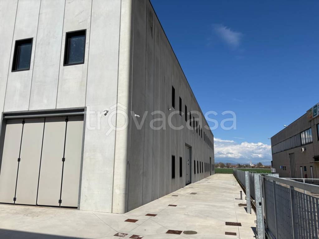 immagine annuncio 2 di 8