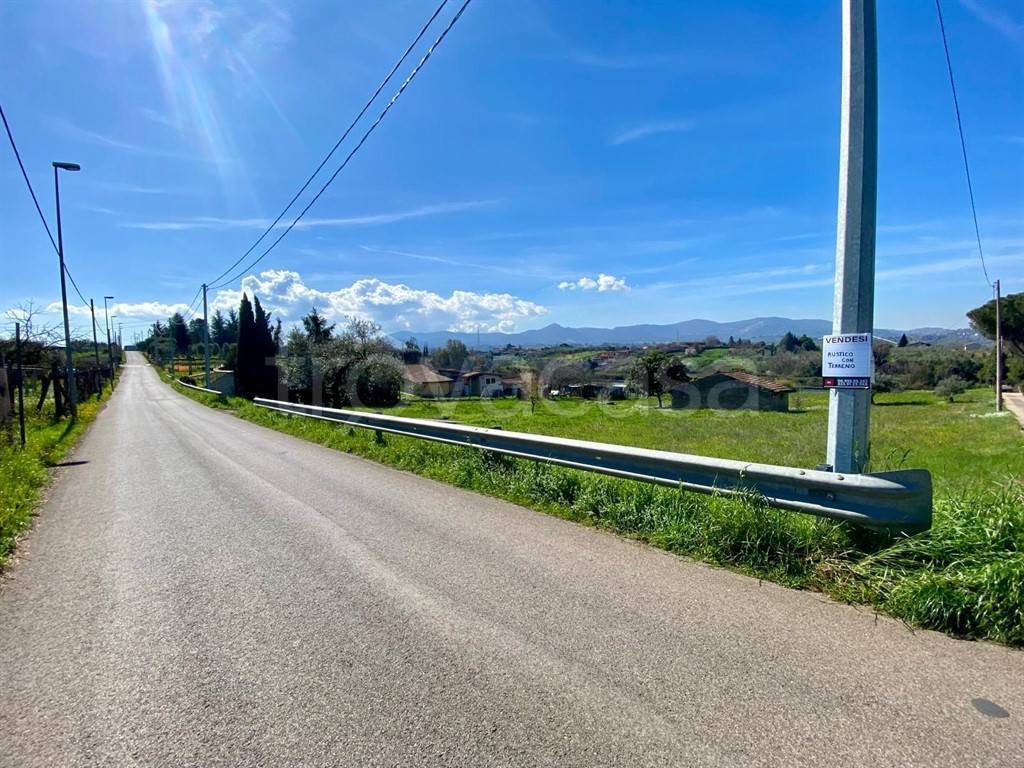immagine annuncio 7 di 14