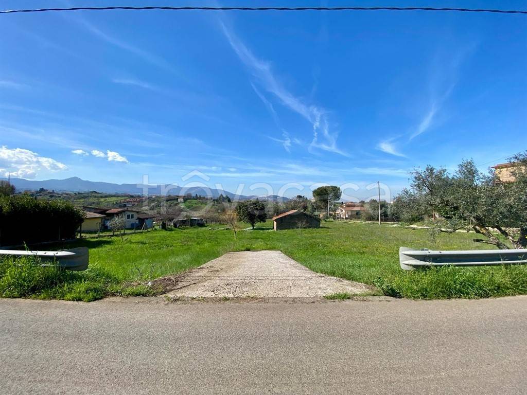 immagine annuncio 8 di 14