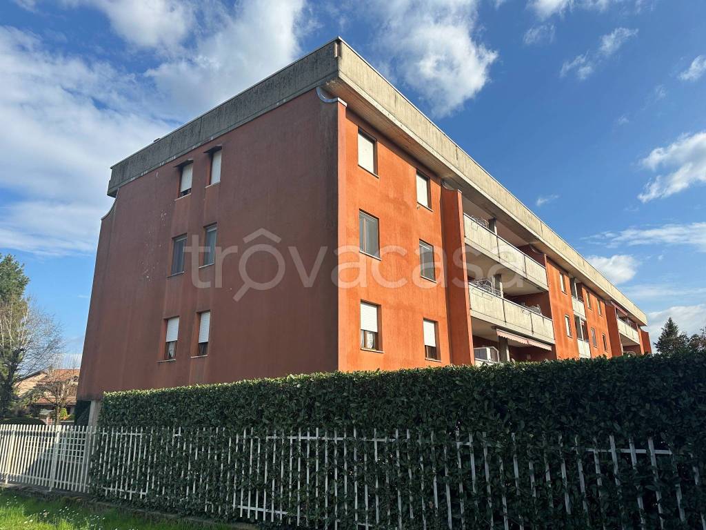 immagine annuncio 2 di 14