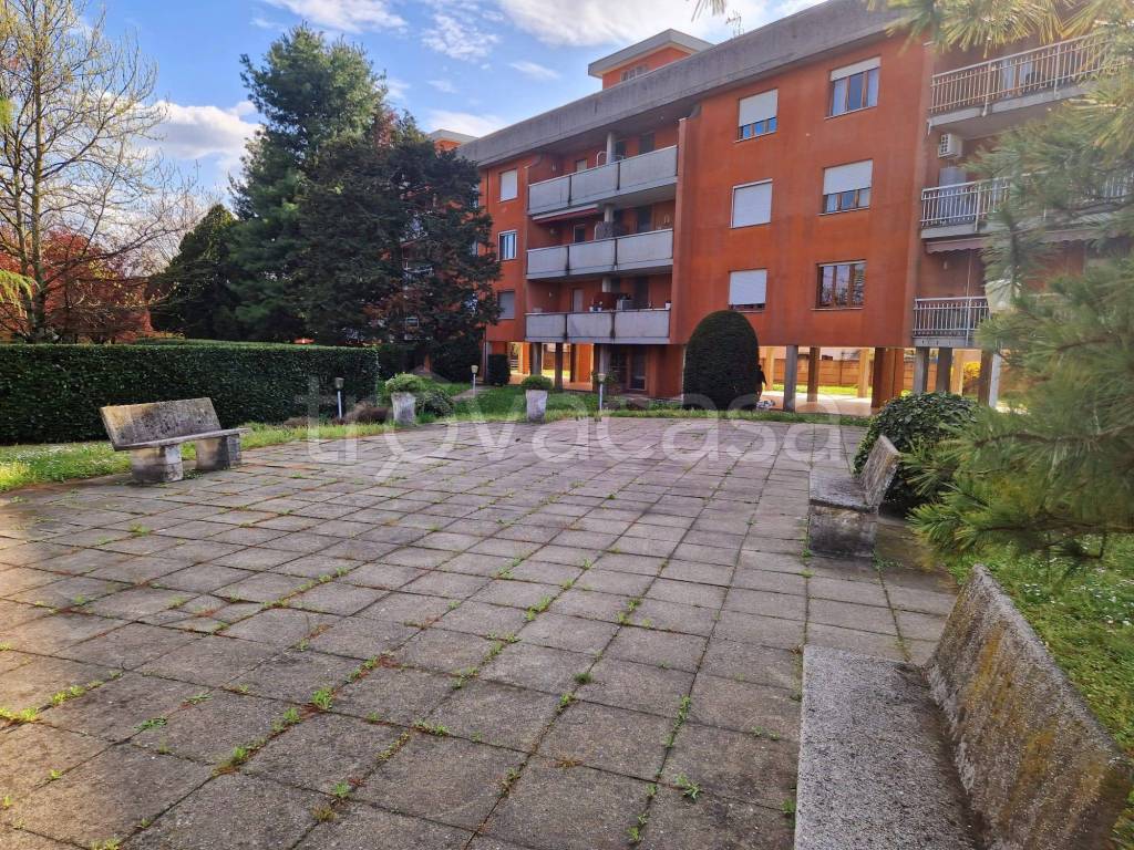 immagine annuncio 1 di 14