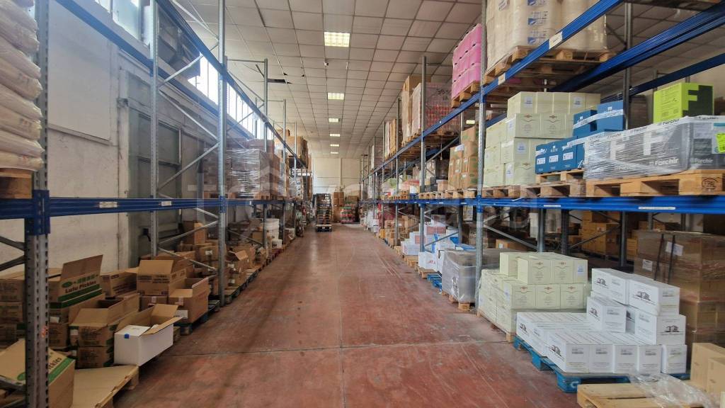 immagine annuncio 11 di 15