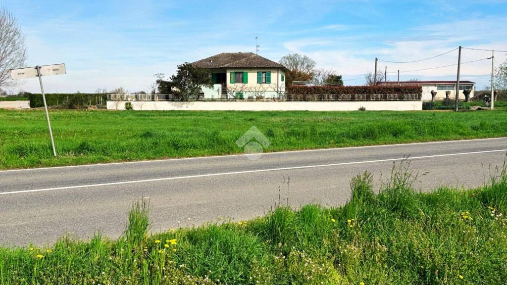 immagine annuncio 3 di 9