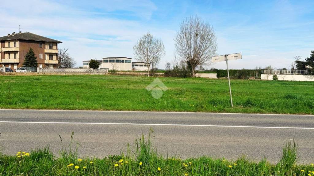 immagine annuncio 5 di 9