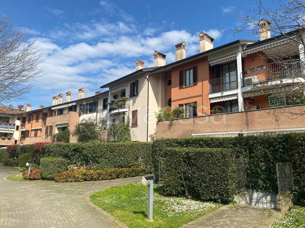 immagine annuncio 9 di 15