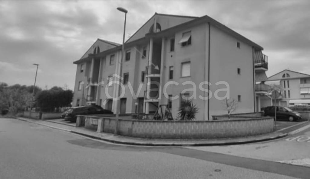 immagine annuncio 11 di 14