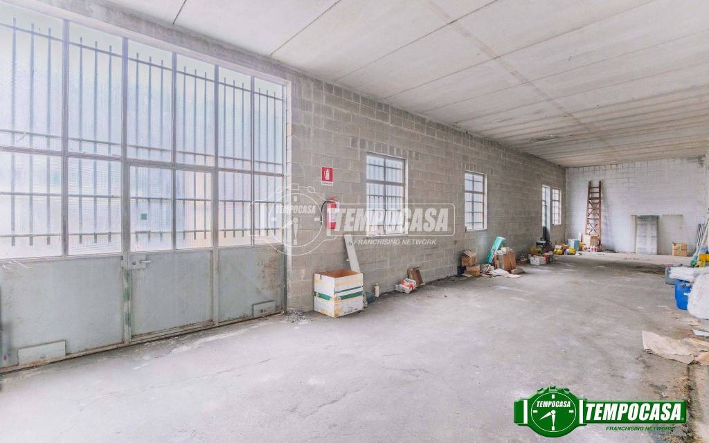 immagine annuncio 9 di 15