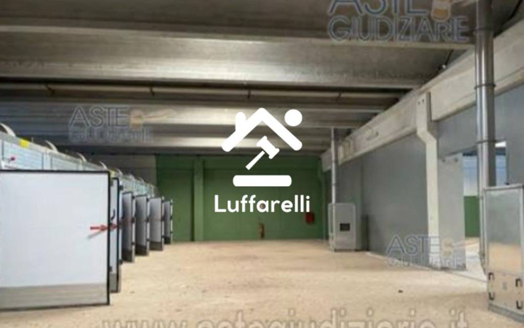 immagine annuncio 3 di 11