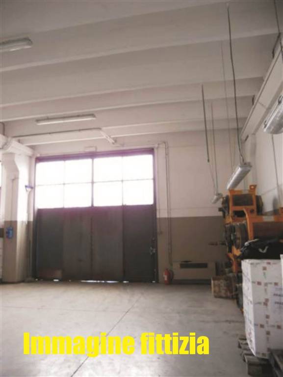 immagine annuncio 6 di 11