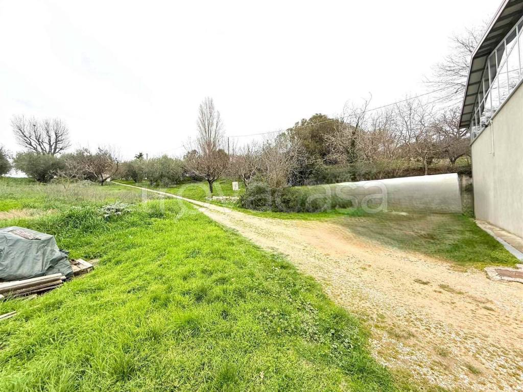 immagine annuncio 1 di 7