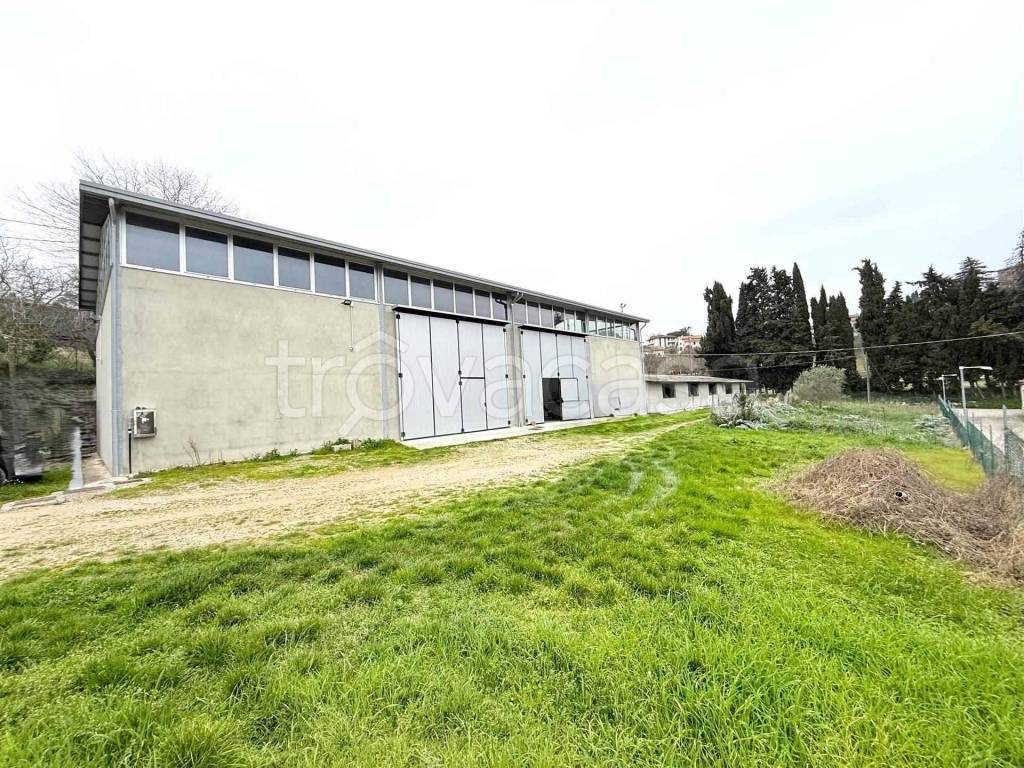 immagine annuncio 2 di 7