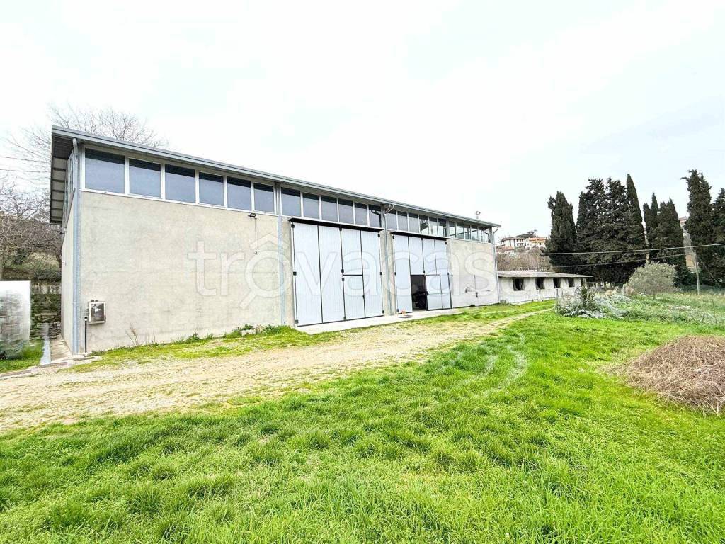 immagine annuncio 3 di 7