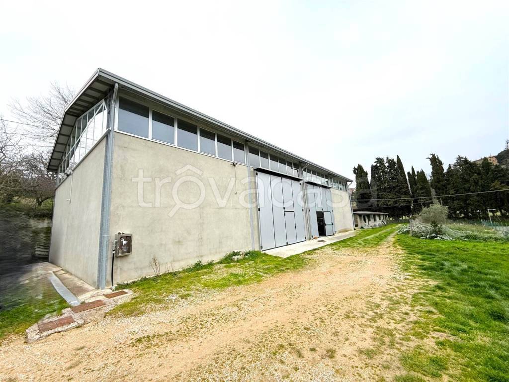 immagine annuncio 4 di 7