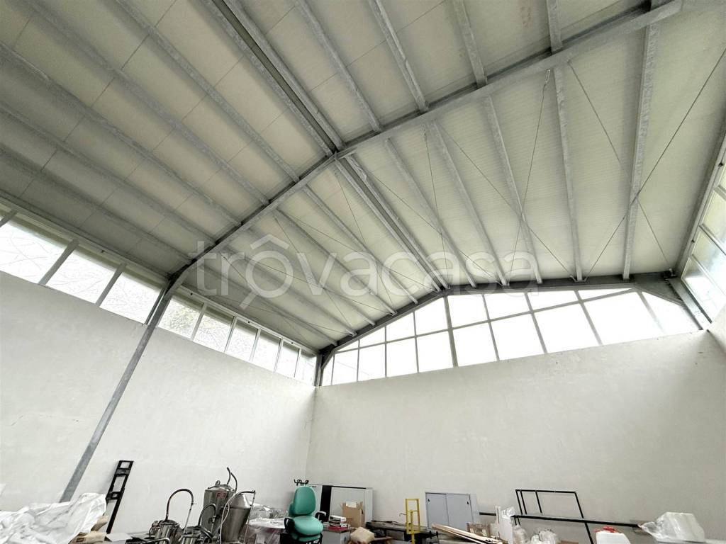 immagine annuncio 6 di 7