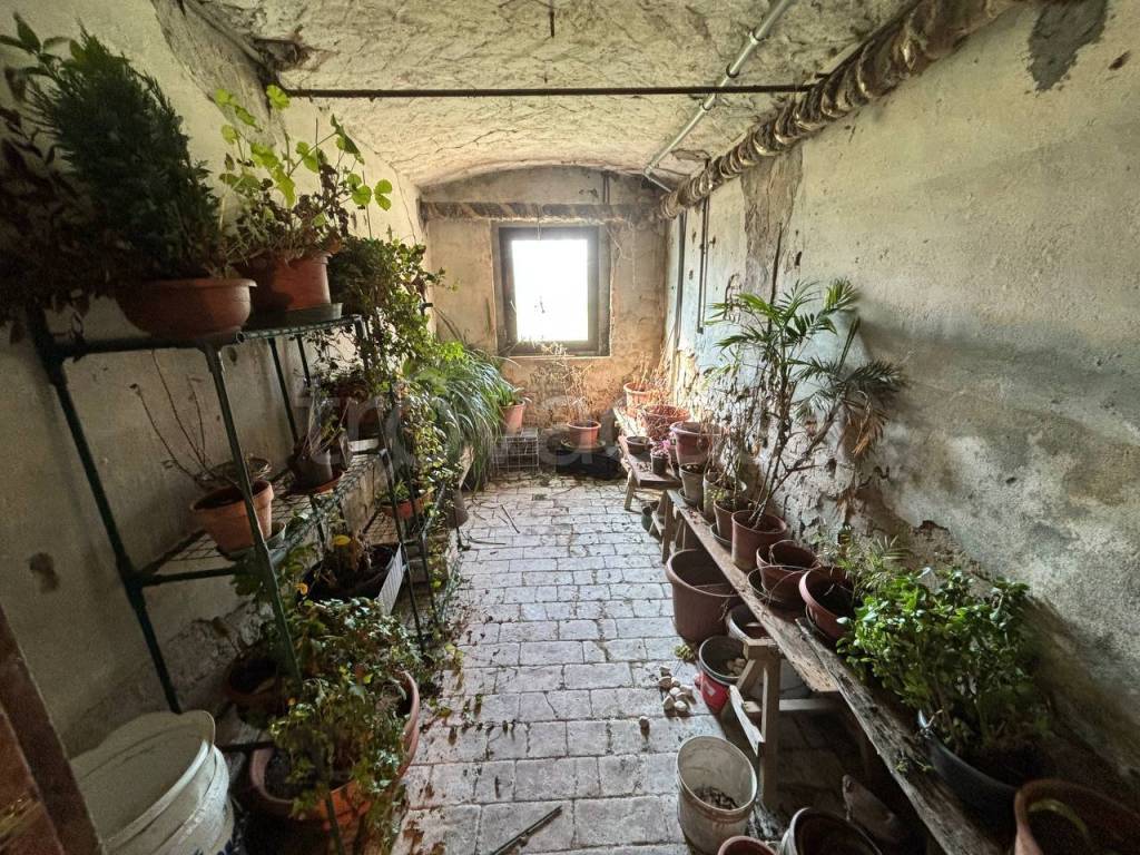 immagine annuncio 10 di 14