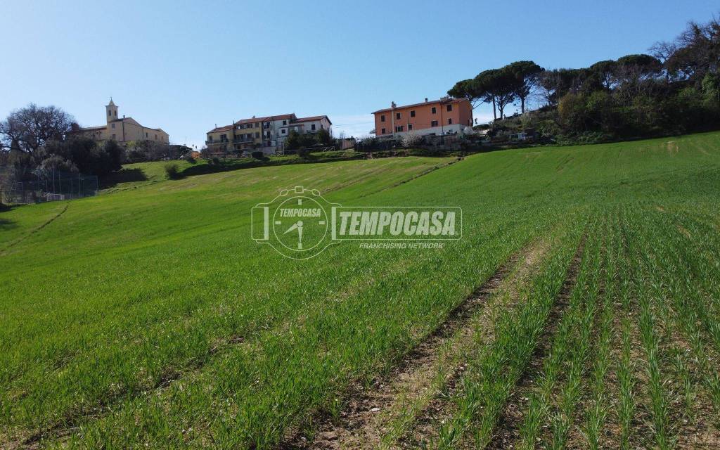 immagine annuncio 3 di 6