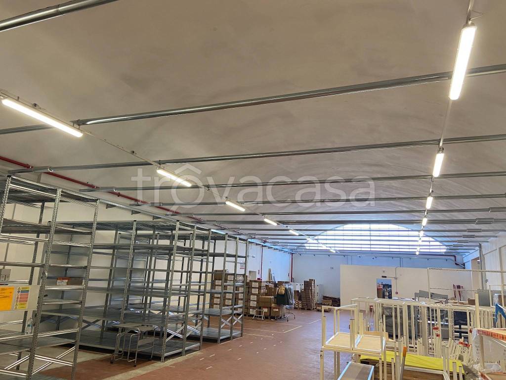 immagine annuncio 5 di 11
