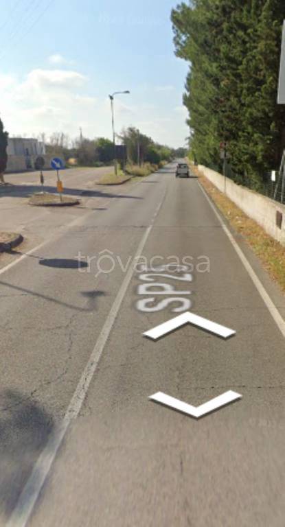 immagine annuncio 2 di 11