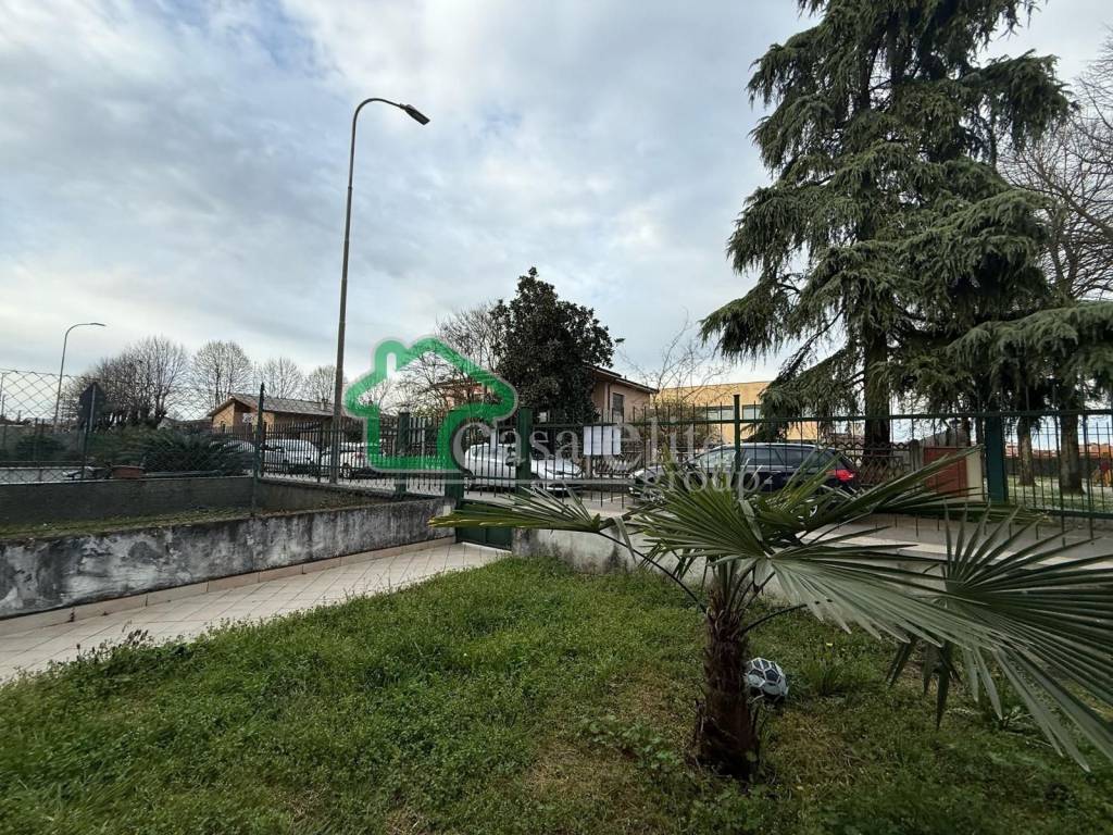 immagine annuncio 4 di 15
