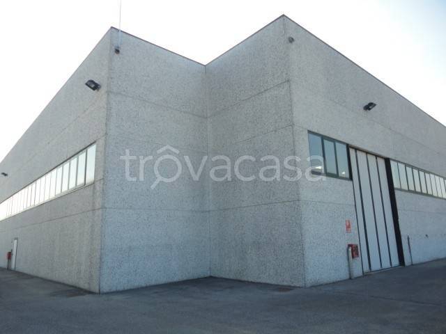 immagine annuncio 3 di 14