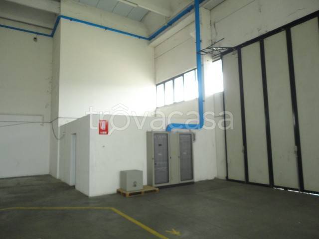 immagine annuncio 5 di 14