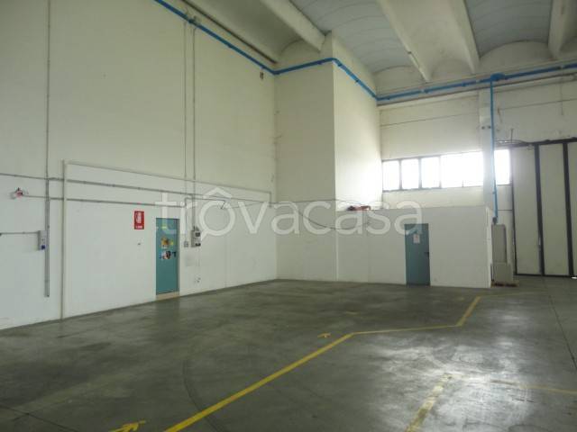 immagine annuncio 12 di 14