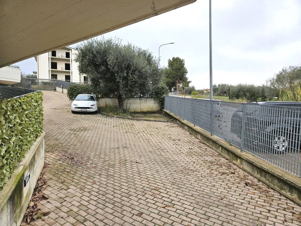 immagine annuncio 1 di 4