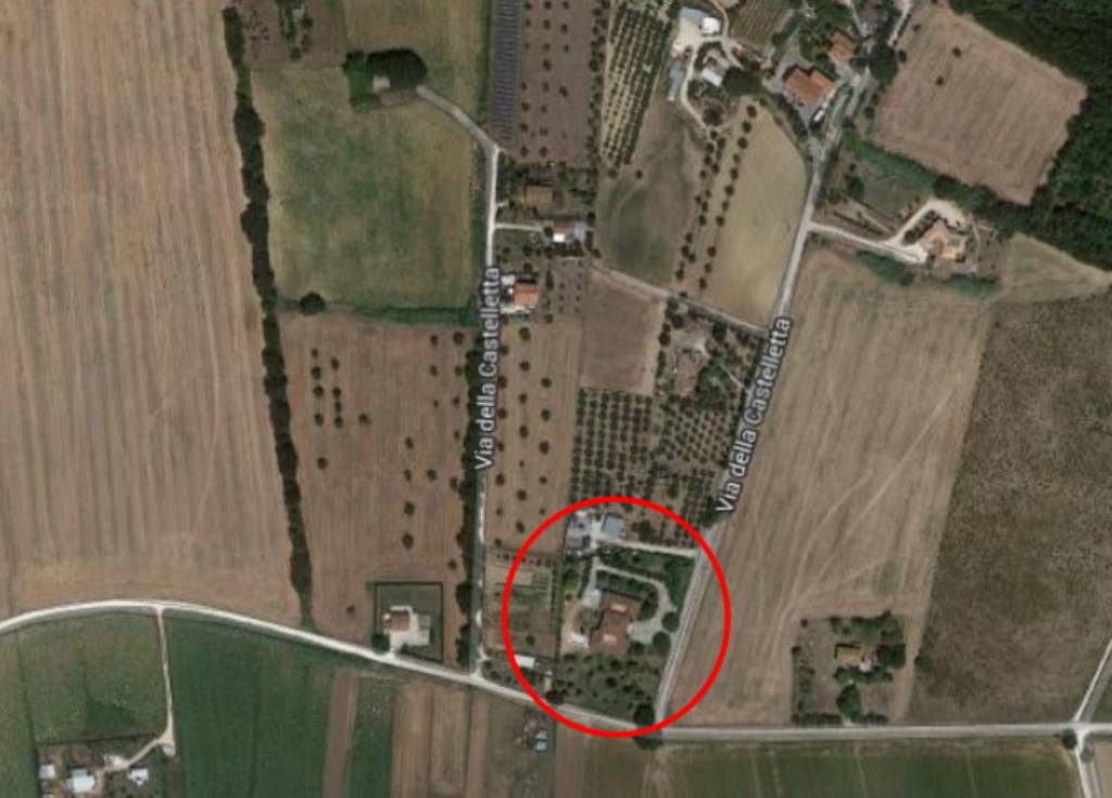immagine annuncio 2 di 13