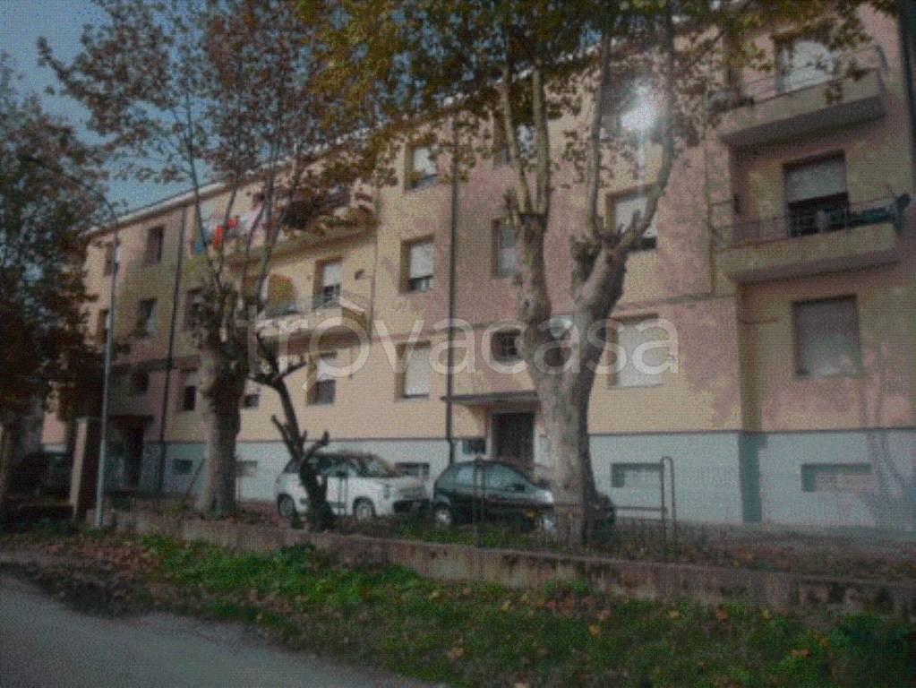 immagine annuncio 9 di 12