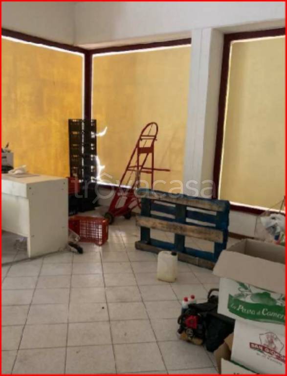 immagine annuncio 5 di 11
