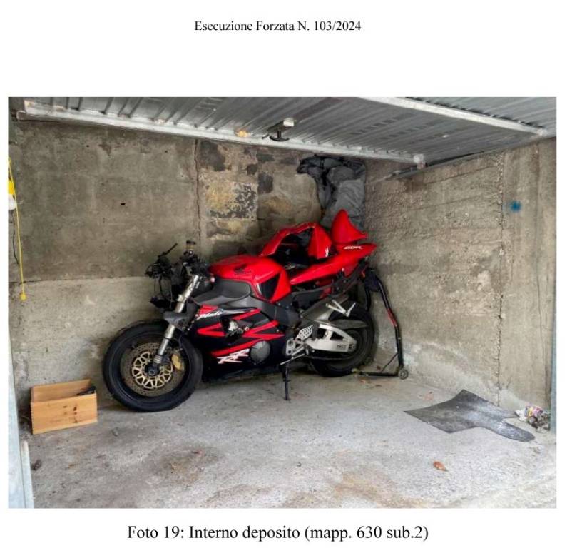immagine annuncio 12 di 15