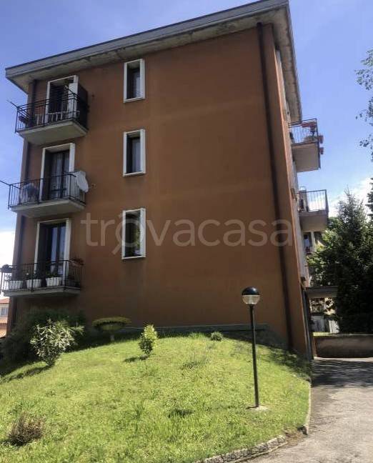 immagine annuncio 1 di 14