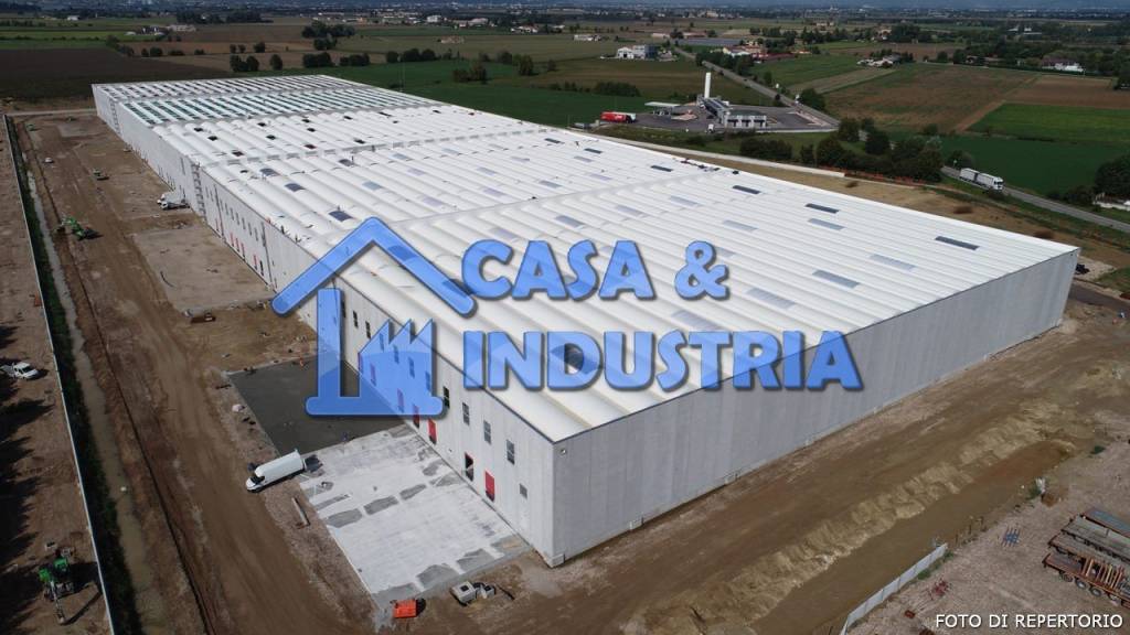 immagine annuncio 11 di 14