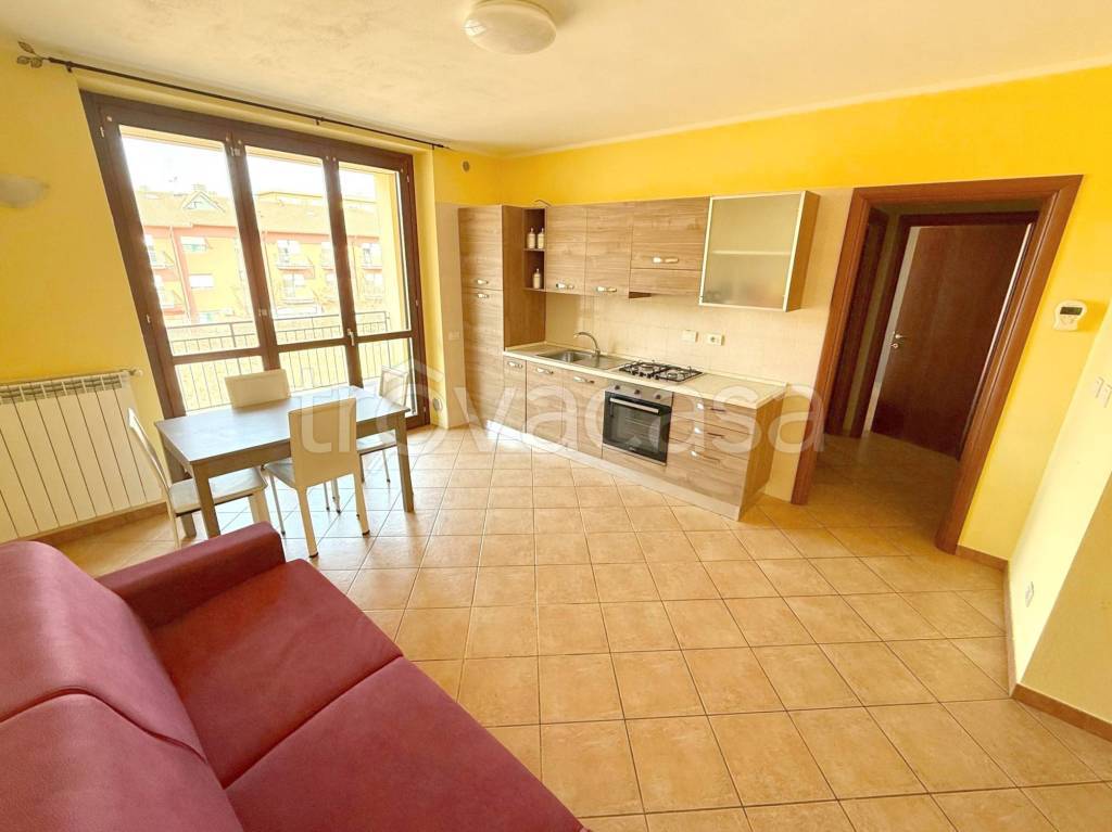 immagine annuncio 1 di 15