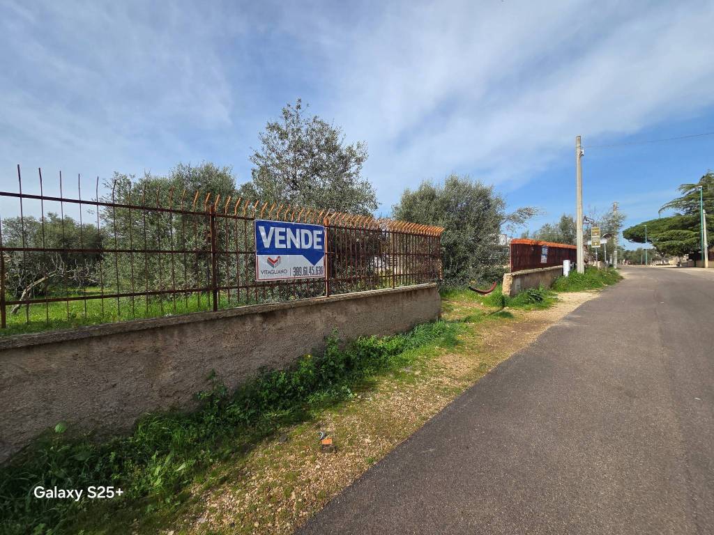 immagine annuncio 1 di 3