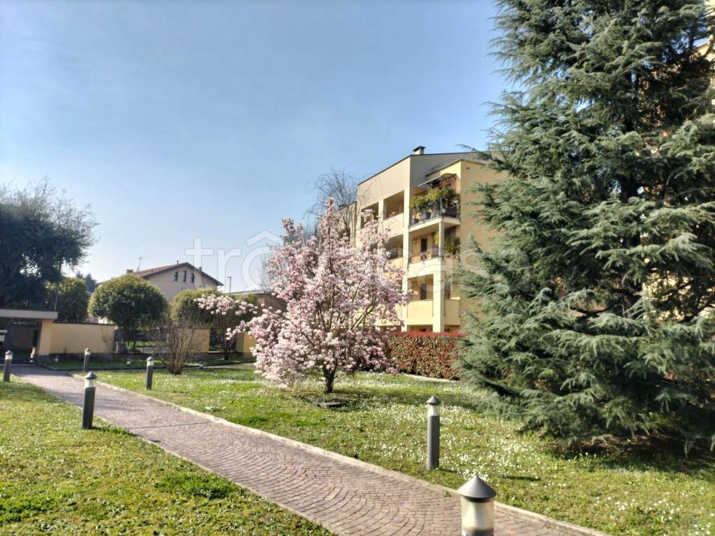 immagine annuncio 7 di 15