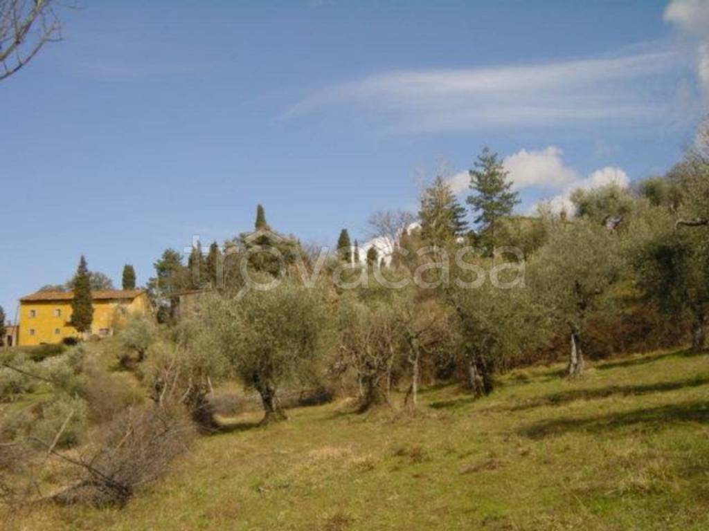 immagine annuncio 11 di 14