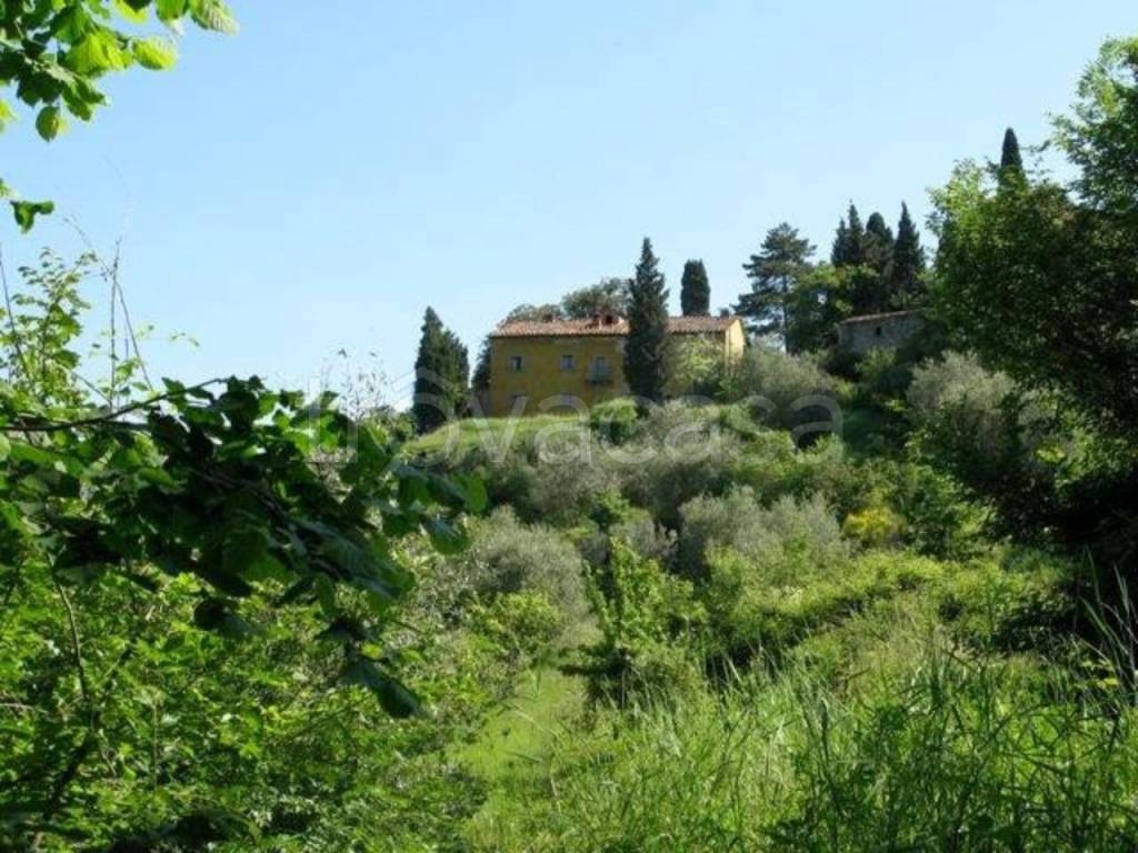 immagine annuncio 10 di 14