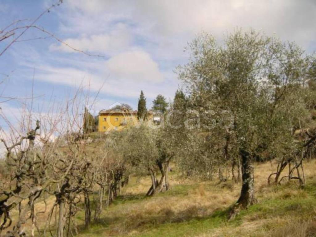 immagine annuncio 8 di 14