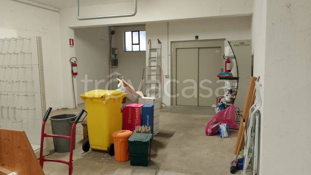 immagine annuncio 2 di 3